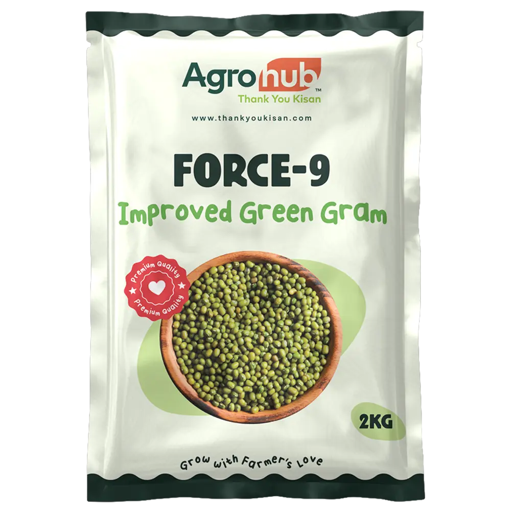 green gram front 2kg